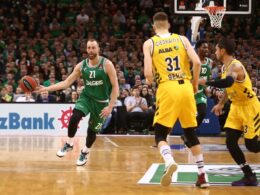 eurolyga gyvai alba zalgiris