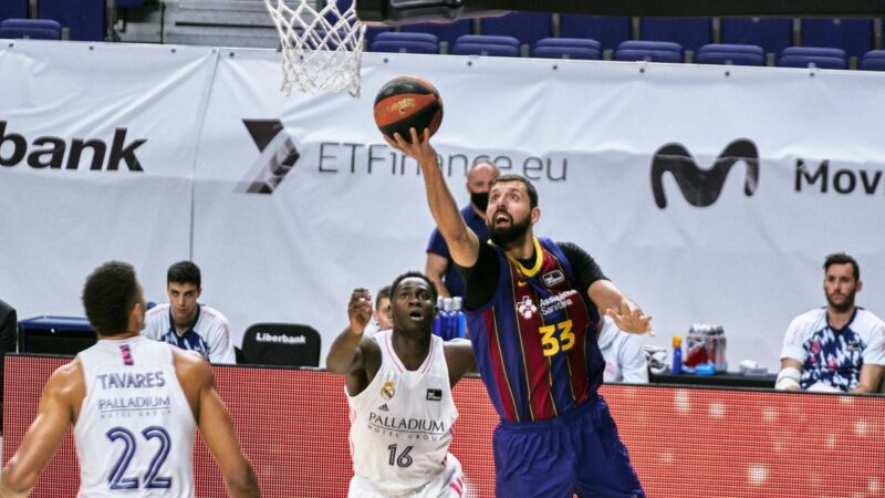 nikola miroticius