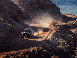 DAKARAS- DEVINTA DIENA