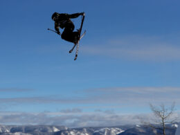 Fabianas Boschas - šveicarų slidinėjimo virtuozas