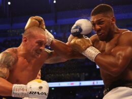 Ukraina turi dar vieną bokso legendą