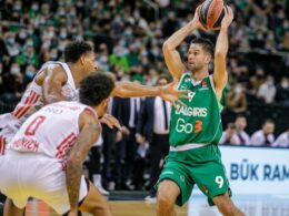 M. Kalnietis su kamuoliu