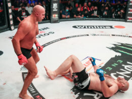 Fiodoras Jemeljanenko nokautavo Timą Johnsoną