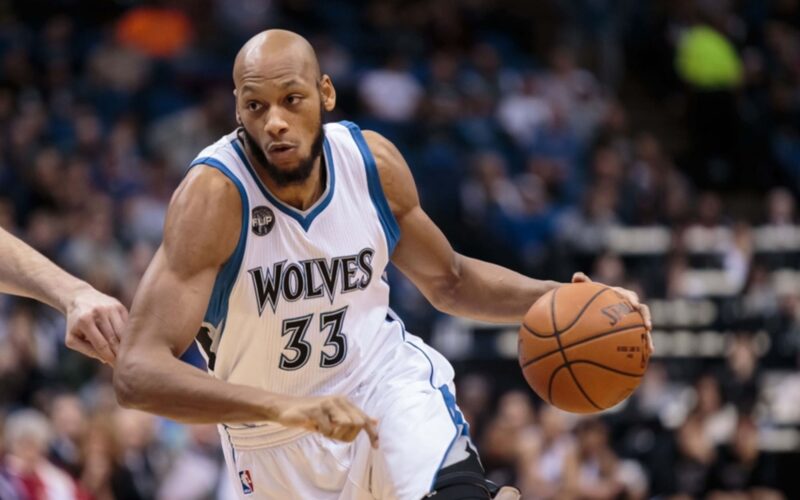 A. Payne'as su „Timberwolves" apranga